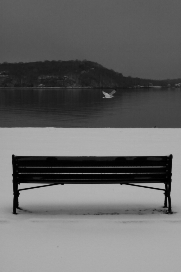 2009 12 31 IMG 5555e